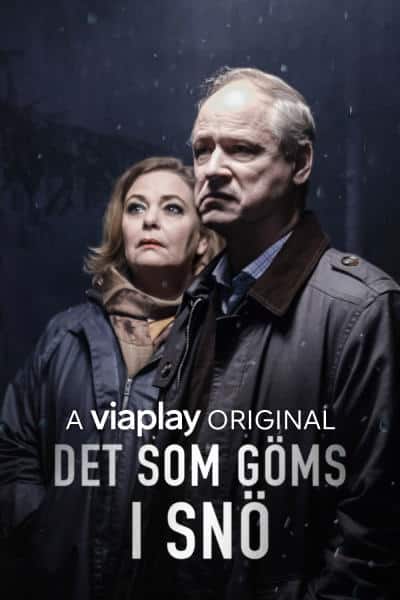 Det som göms i snö 2