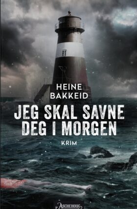 Jeg skal savne deg i morgen