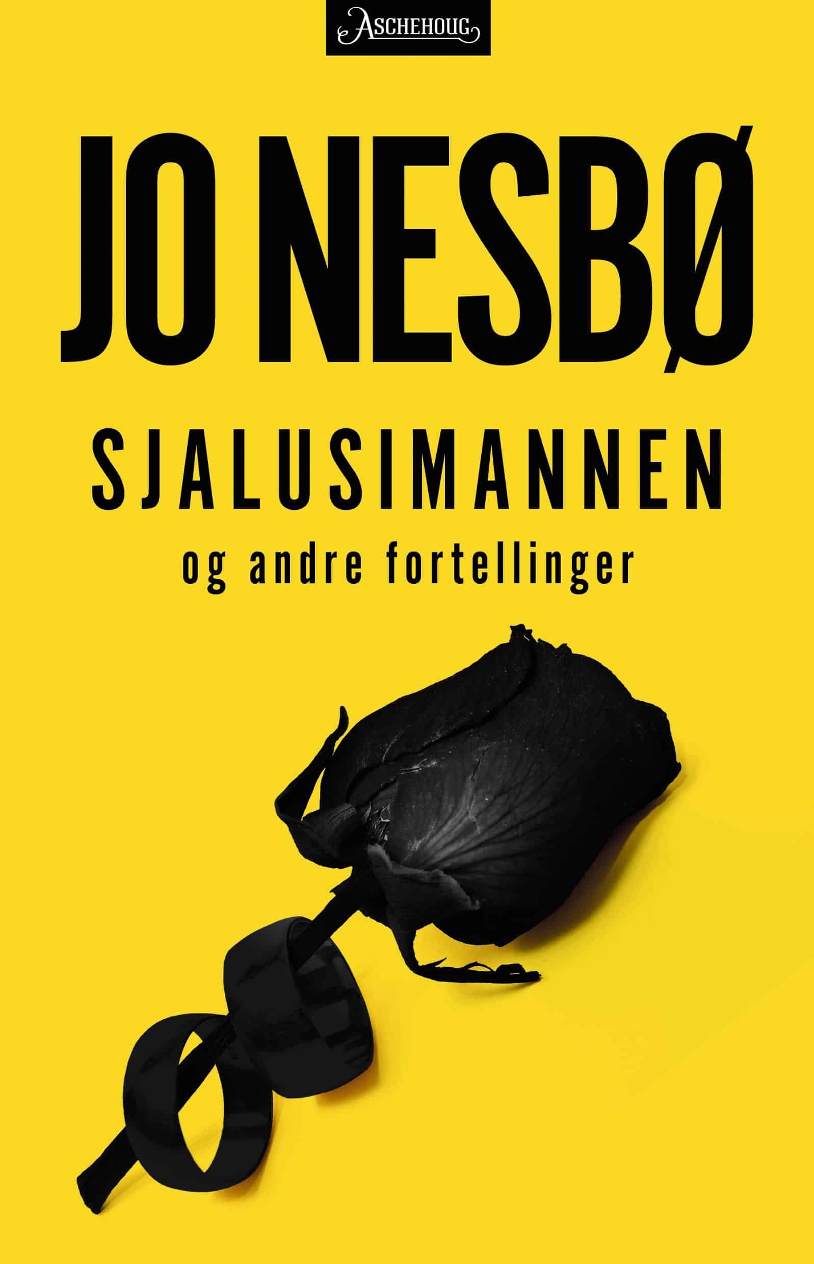 Midnight Sun (Blood on Snow, #2) by Jo Nesbø