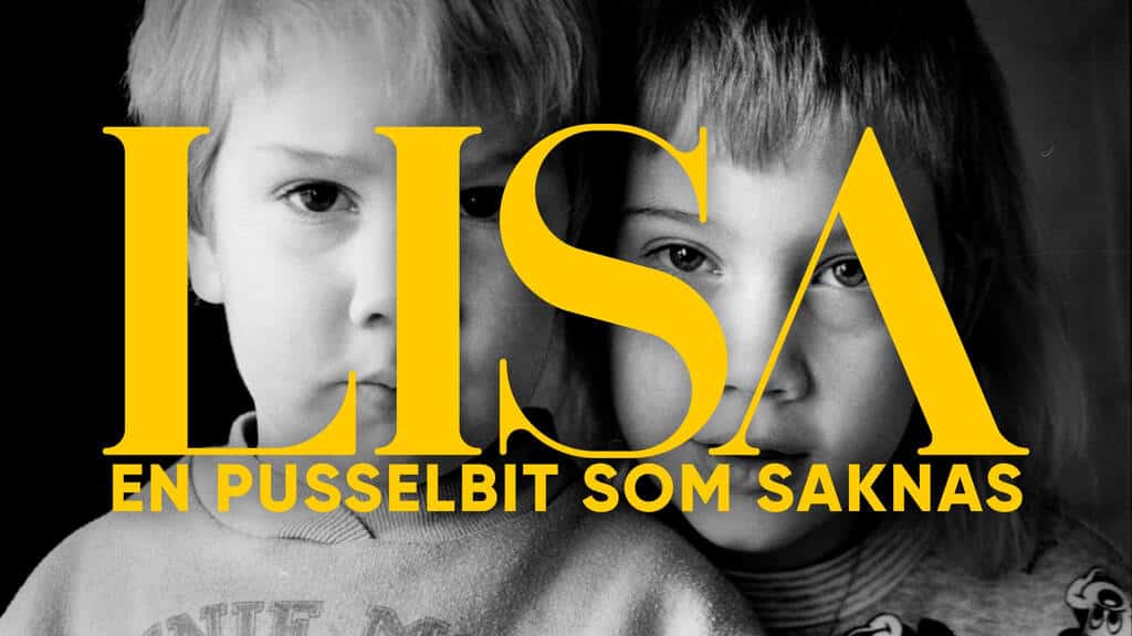 Lisa – en pusselbit som saknas