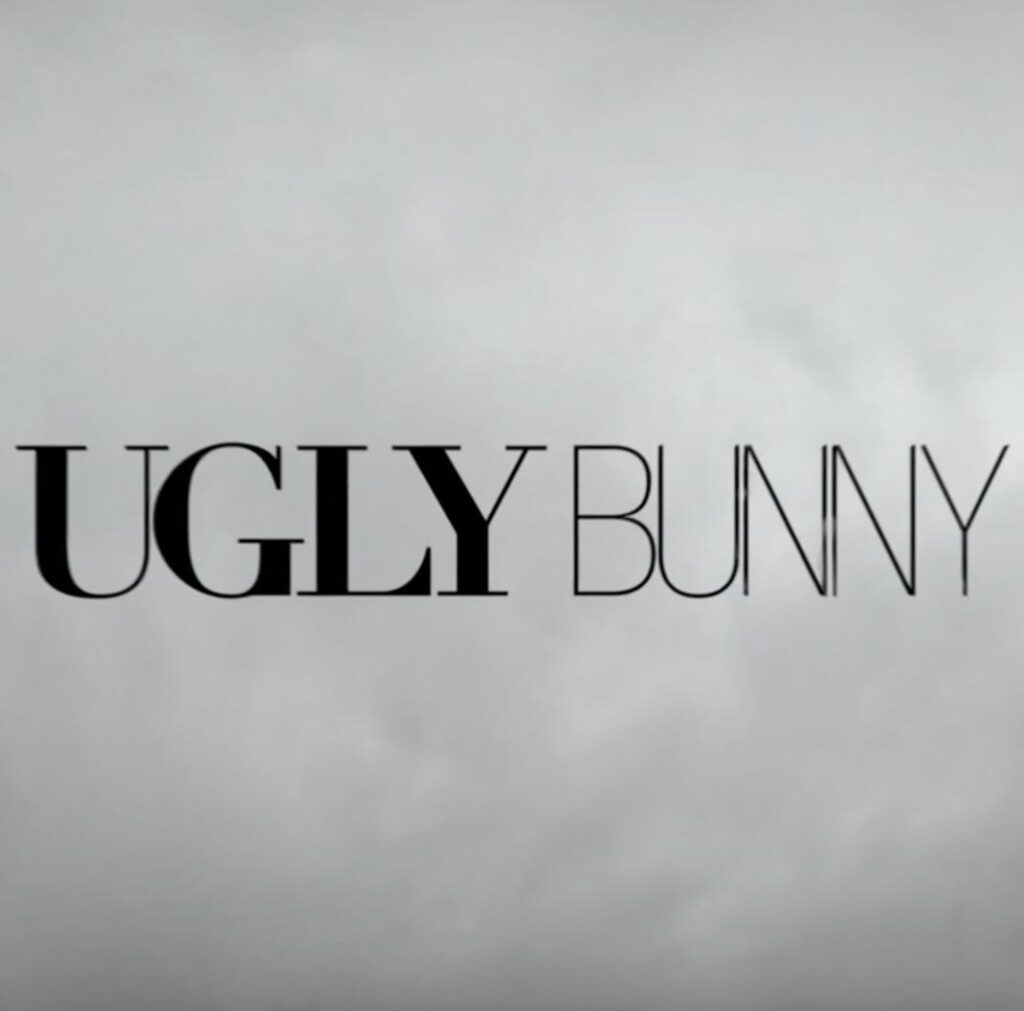 Ugly Bunny